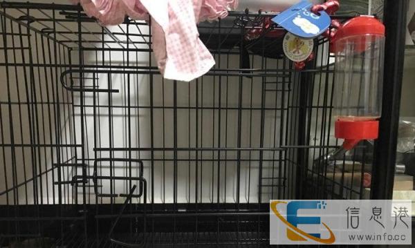 宠物猫宠物狗龙猫兔子便携式折叠笼水壶衣服遛狗绳全新