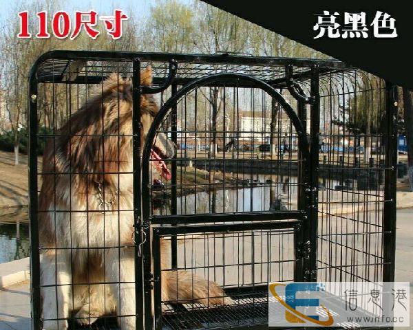 超大型宠物狗笼转让