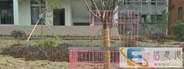 厂价直销各种宠物笼子