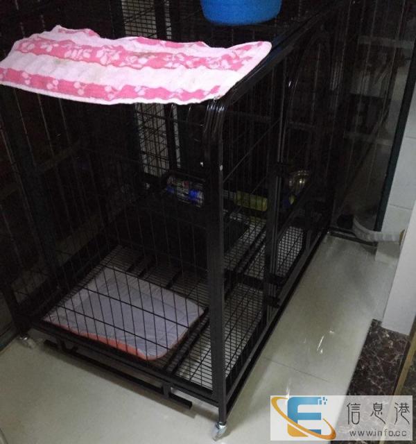狗笼子，太大了，转让