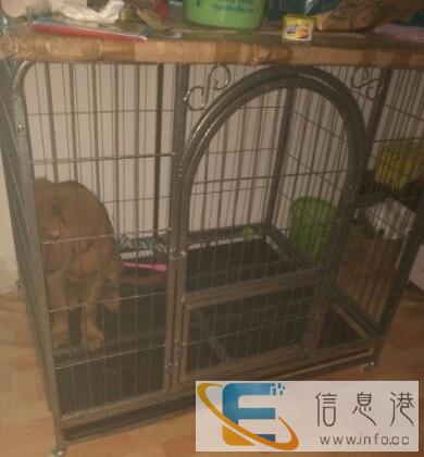 中大型犬狗笼