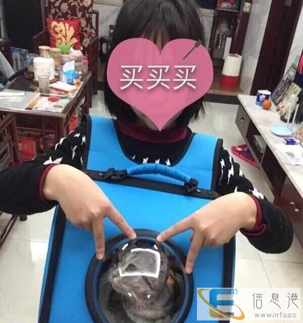 全新猫用品价格面议