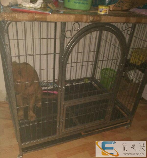 狗笼在家闲置，处理了