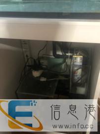 正品以色列红海鱼缸出售