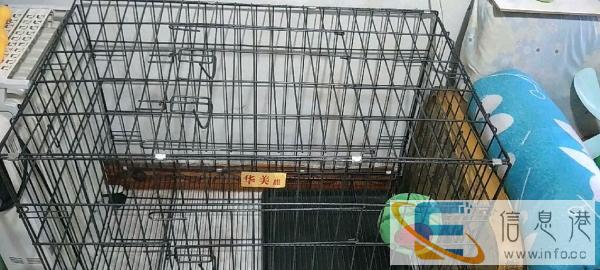 1.2米中大型狗笼