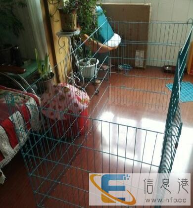 出售狗笼,全新