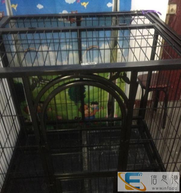 阿拉斯加金毛等大型犬狗笼转让