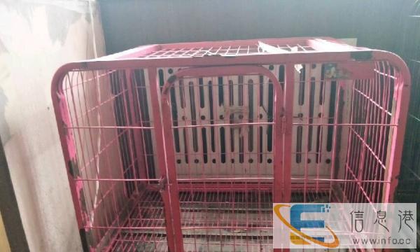 便宜处理，99成新狗笼子