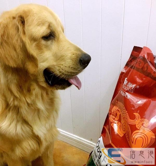 本厂专业生产猫狗粮零售或批发