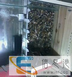 出售爬虫两用箱