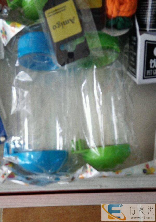 咕噜名猫宠物店欢迎您