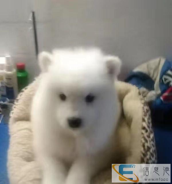 特价用品,比某宝低