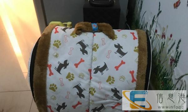 狗长大了转卖40