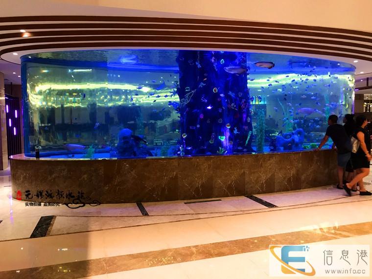 扬州亚克力鱼缸