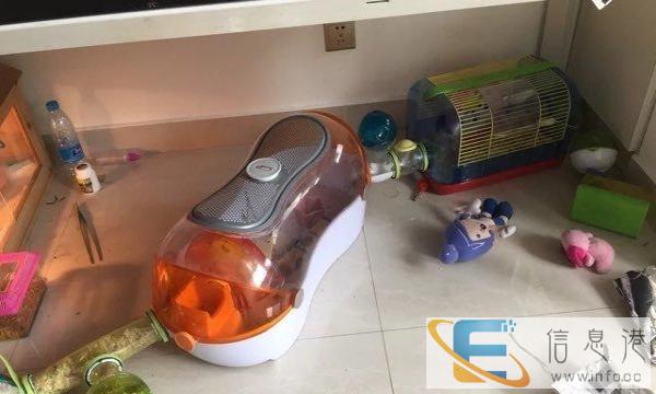 仓鼠笼子哈根球笼游戏基地草履虫