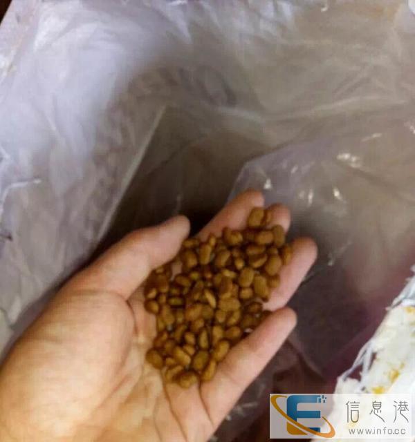 才开封40斤狗粮因狗狗突然走掉低价处理