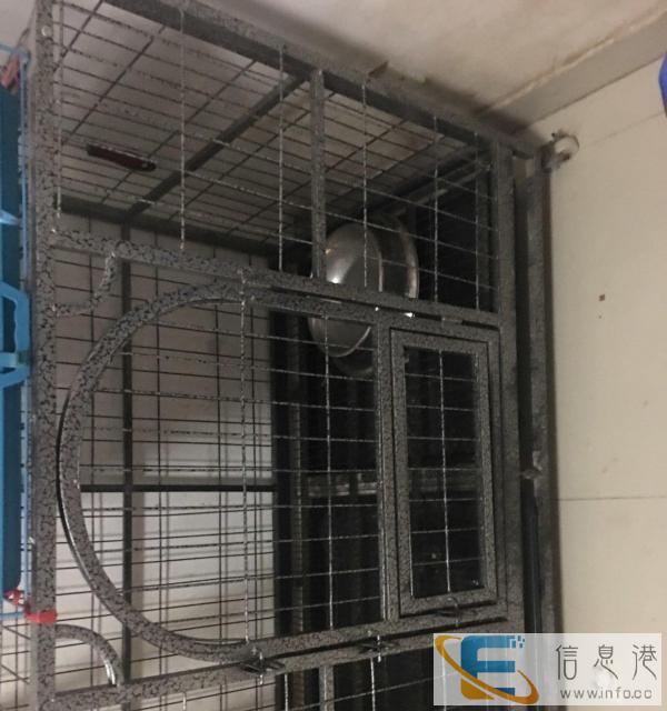 大型9成新狗笼转让