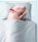 求二手鱼缸或新