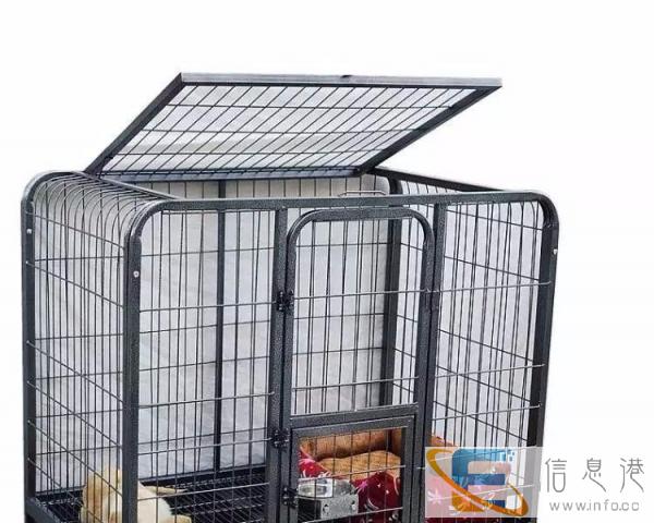 9成新其他宠物用品价格100