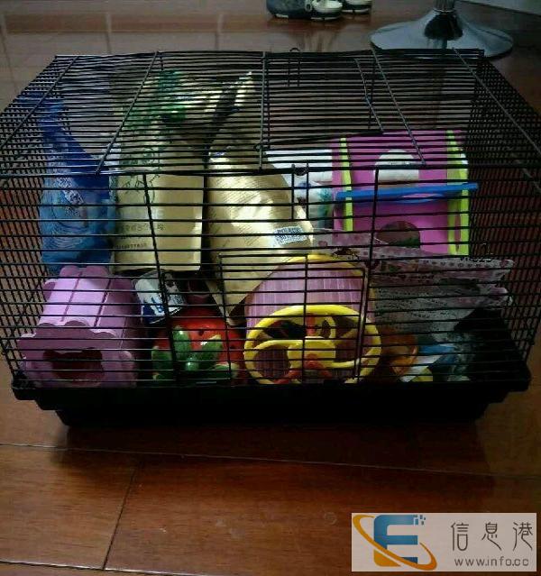 仓鼠基础笼和其他一些东西，如图