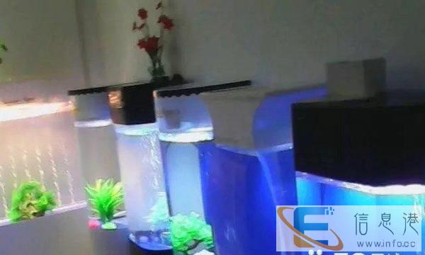 宜昌市金龙水族、鱼缸厂价直销,专业清理
