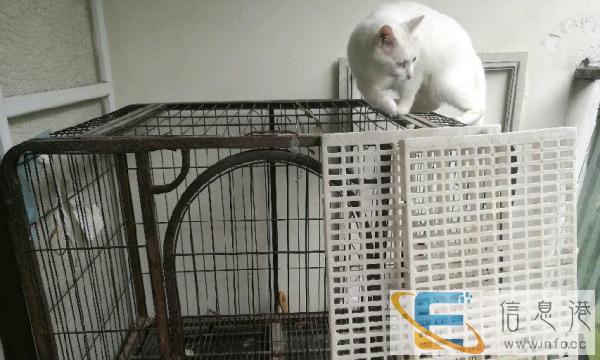 大型狗笼子 带板子