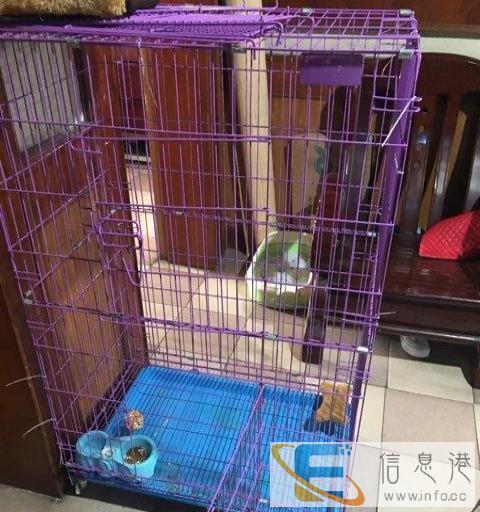一转让全新大铁笼，可养猫养狗