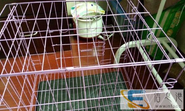 全新狗狗笼子转让 漂亮的紫色