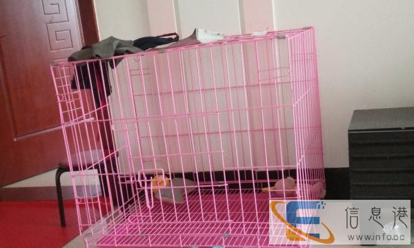 狗笼子转让