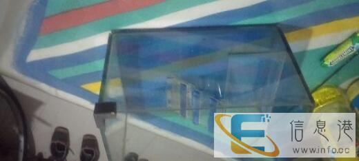 长度25鱼缸,可养鱼养乌龟