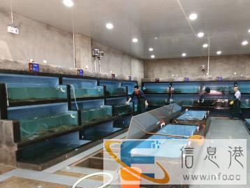 定做海河鲜池/大型观赏缸/鱼池