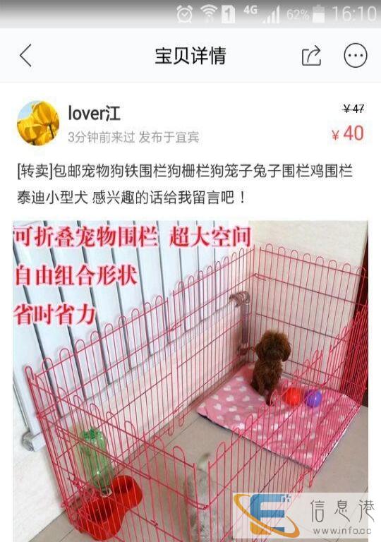 99成新狗用品价格40