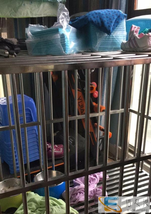 99成新其他宠物用品价格480