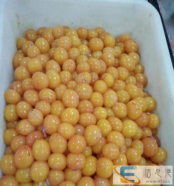 高品质鸡蛋黄，你家狗狗好的选择