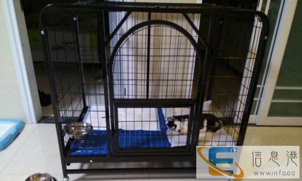 出售大型犬狗笼