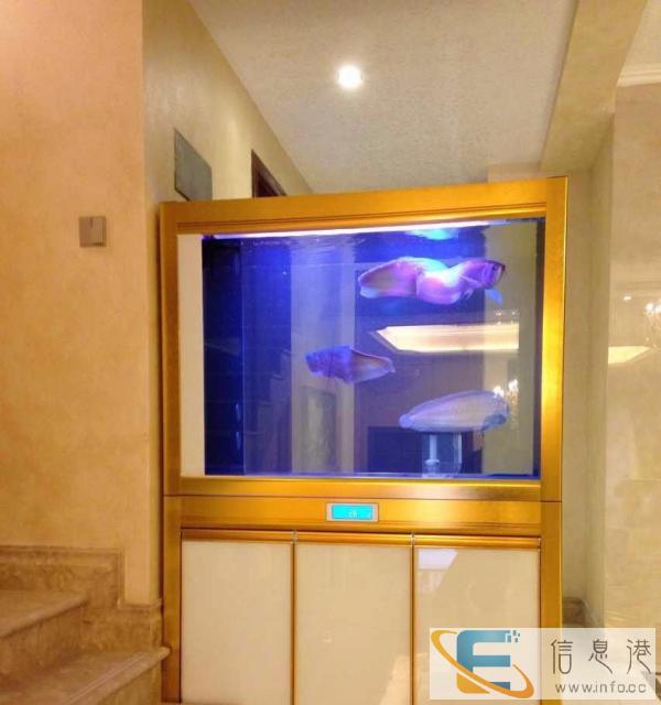 重庆人鱼传奇鱼缸厂，诚征各地经销、代理合作