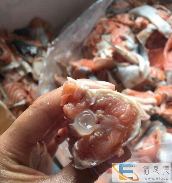 进口三文鱼，补钙美毛