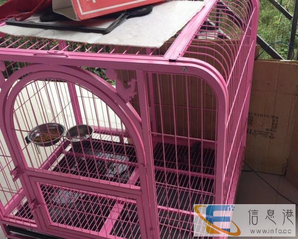 才买的狗笼诚心转让