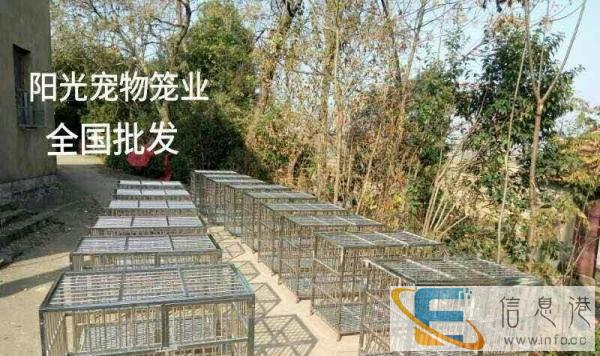 宜宾市不锈钢狗笼子