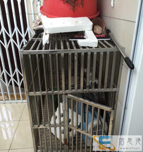 定制的不锈钢狗笼，大型犬用