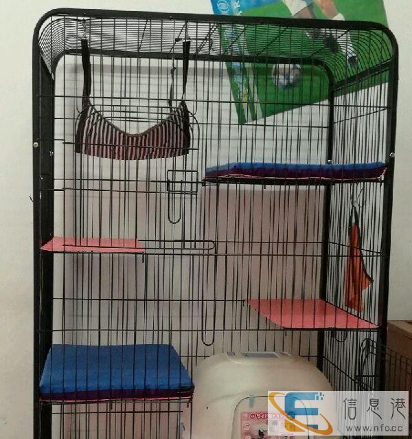 三层猫笼子超低价转让