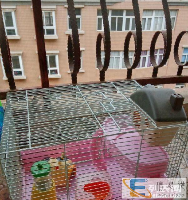 豪华仓鼠笼小偿出售