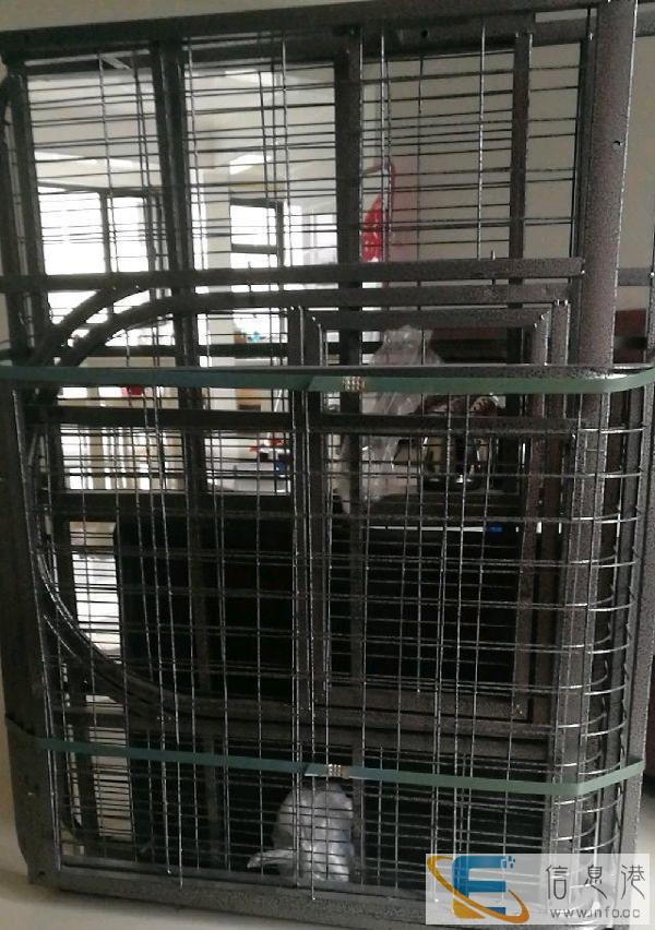 大型犬狗笼方管加厚银灰色