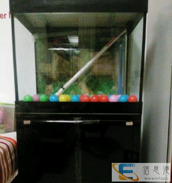 低价处理鱼缸，要的进