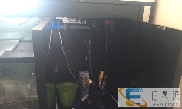 彩蝶2米鱼缸转让