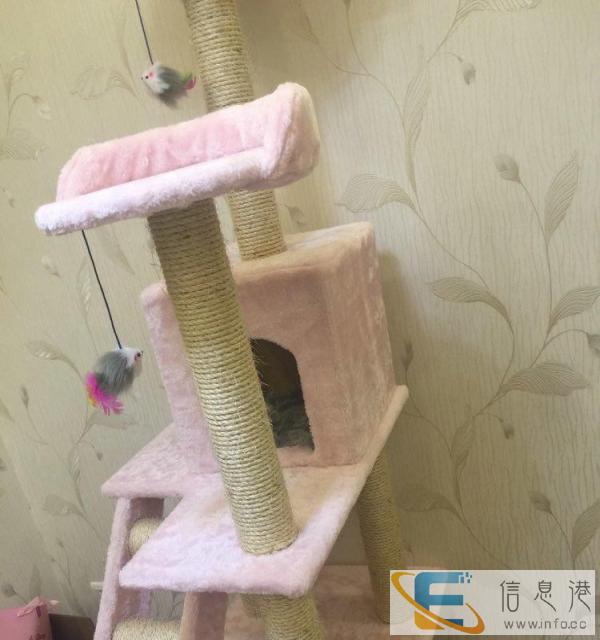 舒服耐看耦粉猫架