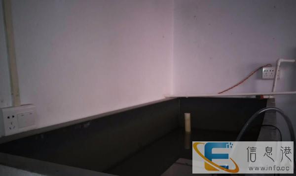 全套设备的龟池 鱼池