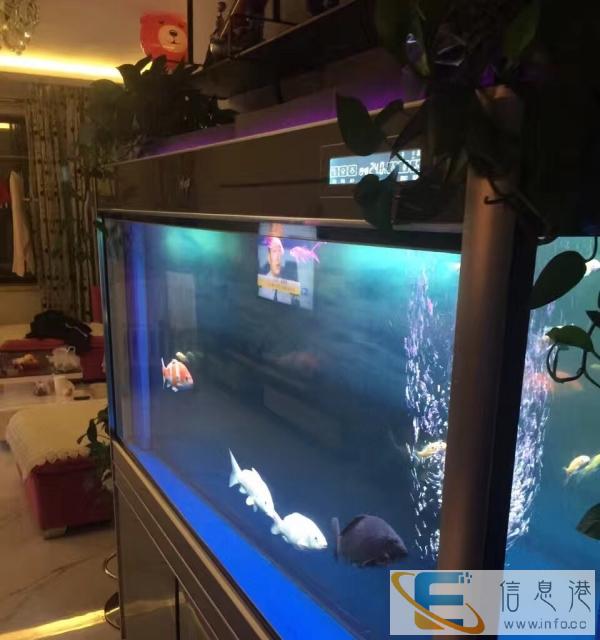 九成新鱼缸功能齐全