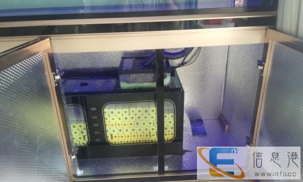 出售全新3米大鱼缸