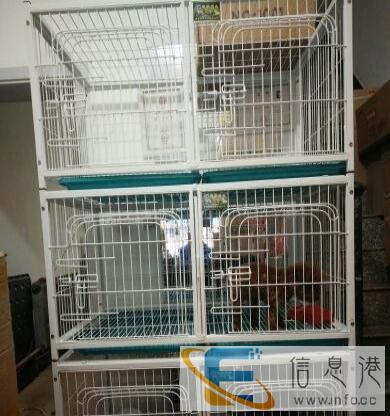 大石桥市亮点宠物用品批发